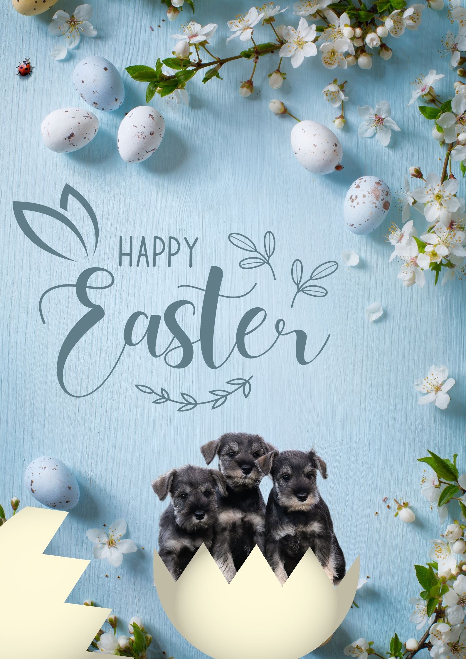 Happy Easter Poster
